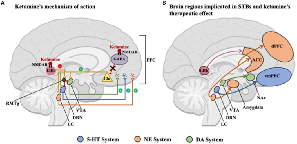 Cognemo – Cognitive Network Modelling